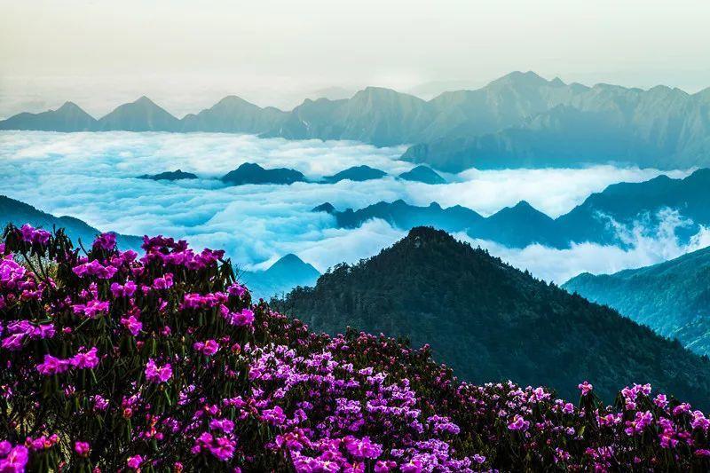 伟大的追求
